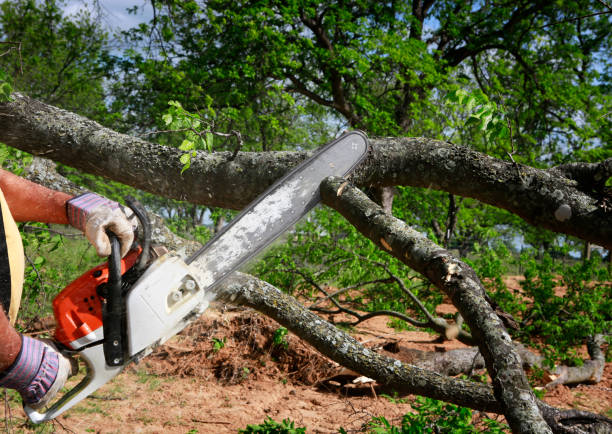 Lawn Irrigation Installation and Maintenance in Sharon, TN